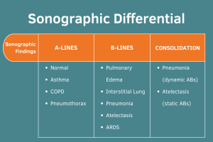 The ABCs of the Lung website 1