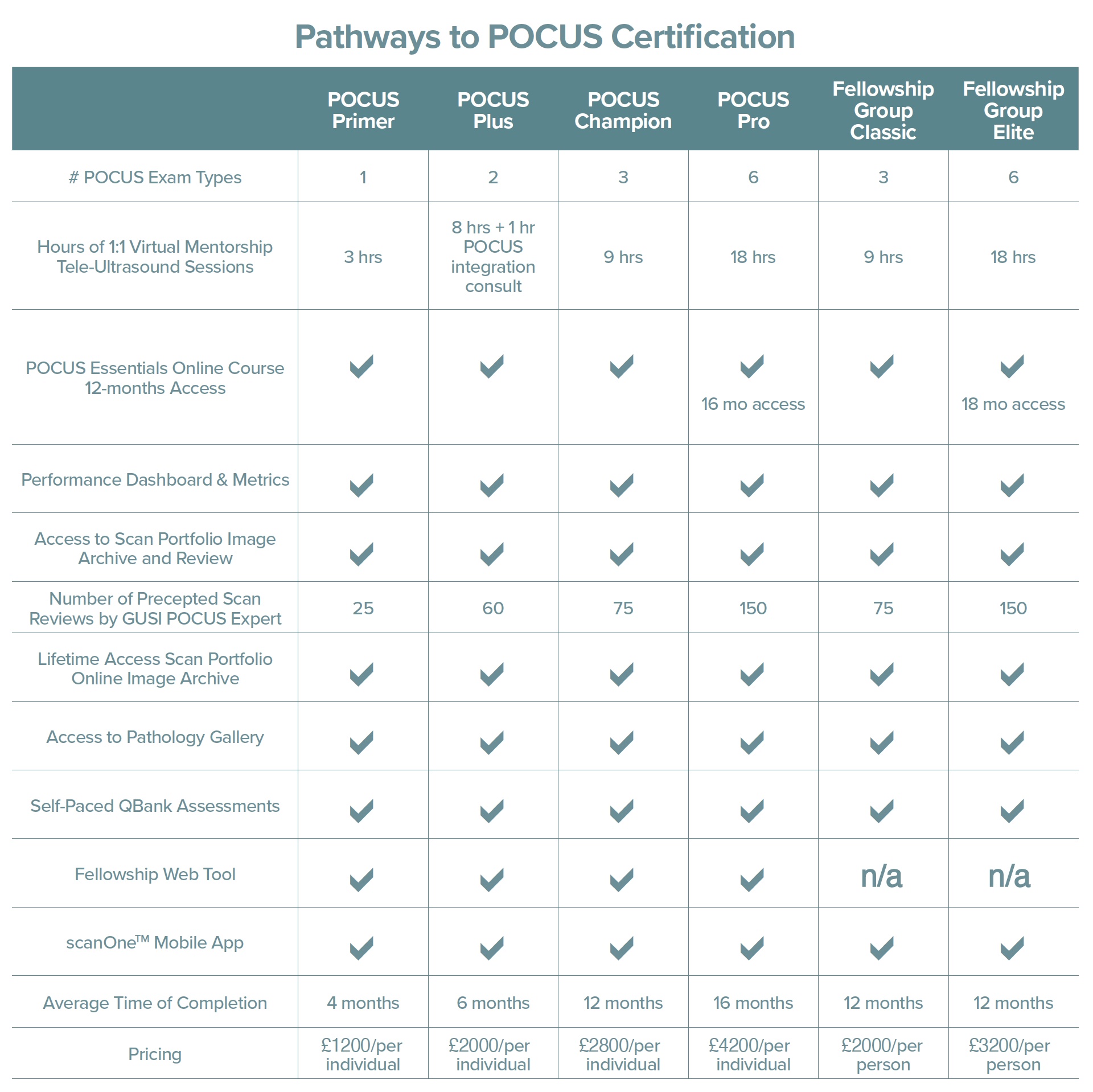 GUSI Fellowship Options table UK