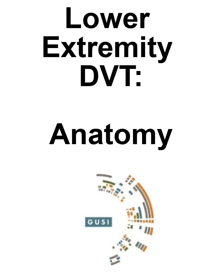 Dvt Anatomy - Video