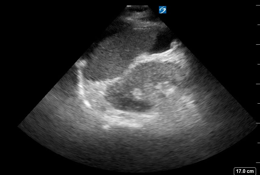 Luq Free Fluid10 - Video