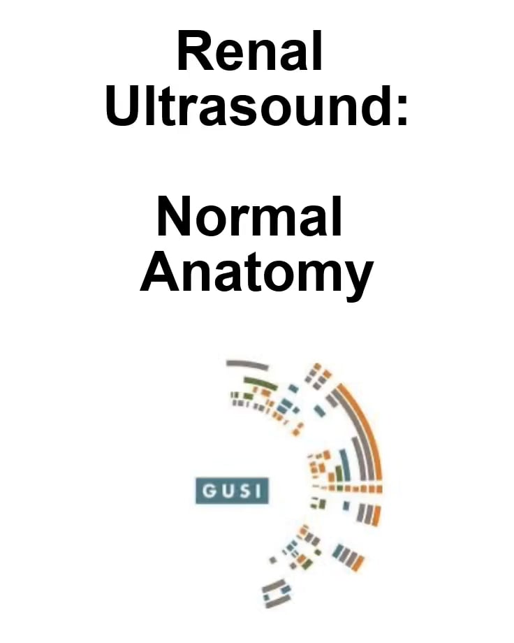 Renal Anatomy - Video